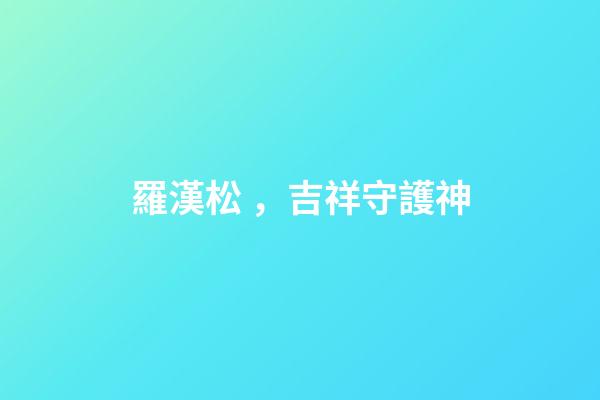 羅漢松，吉祥守護神